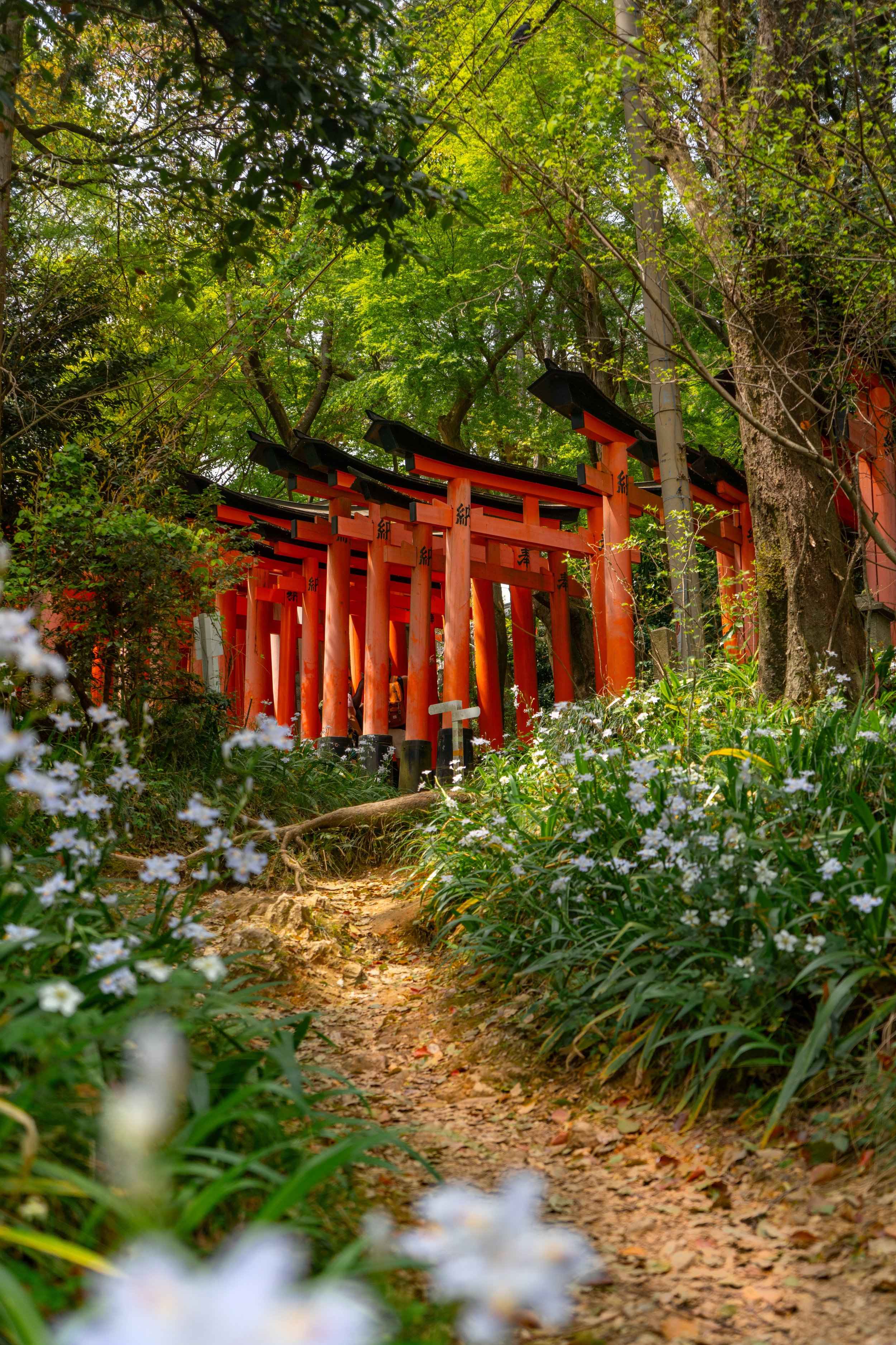 🌸 오랜 평화의 절 (큐안지) 이미지 7
